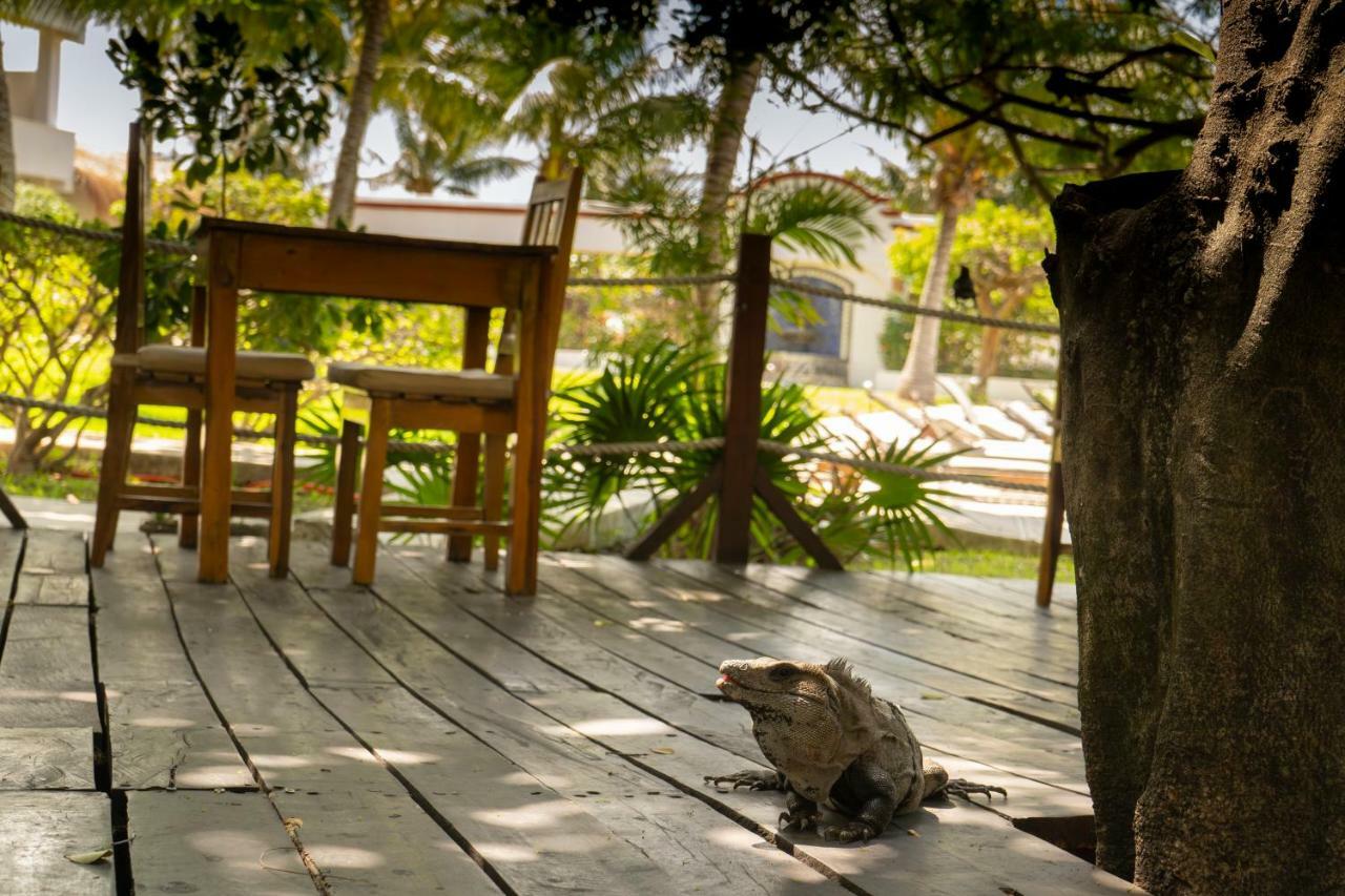 Marina Paraiso Isla Mujeres Hotel Dış mekan fotoğraf